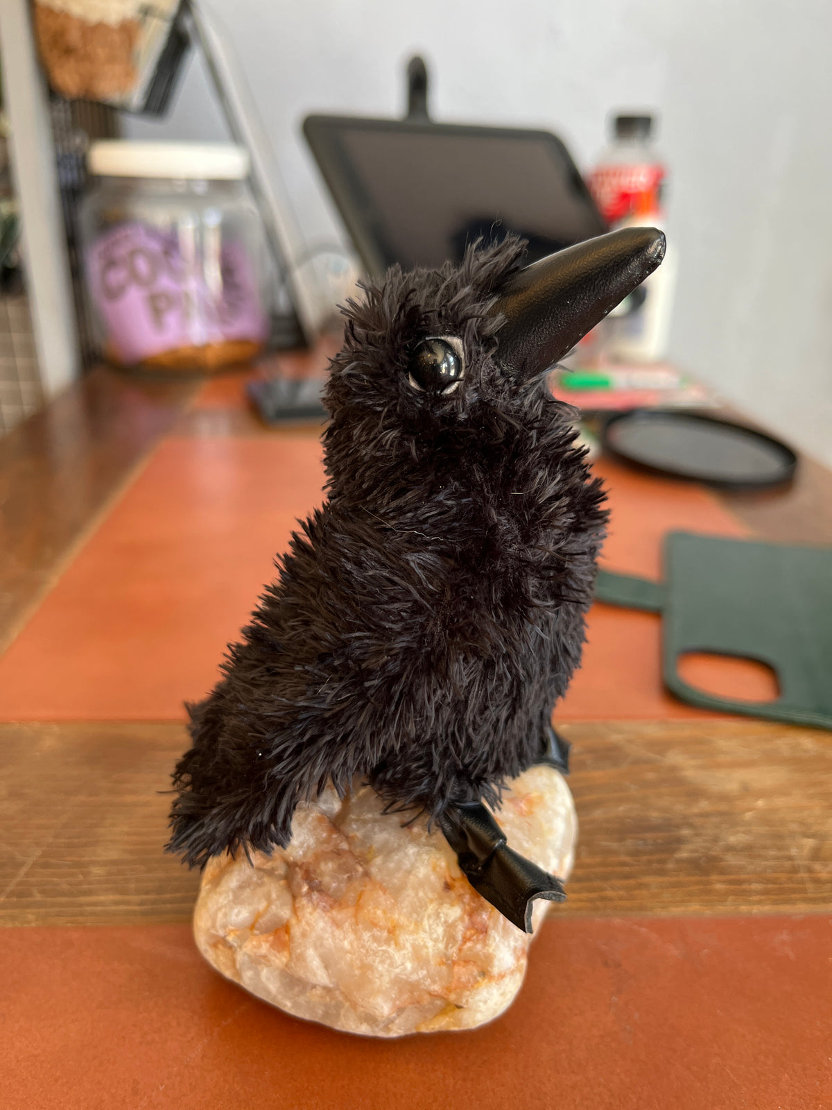 Mini Raven