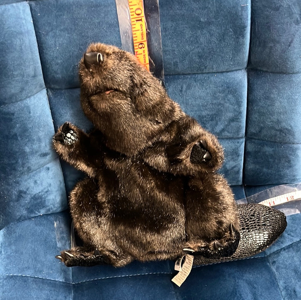 Beaver