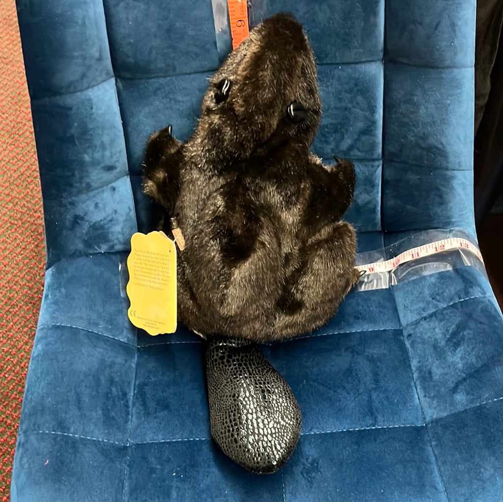Beaver