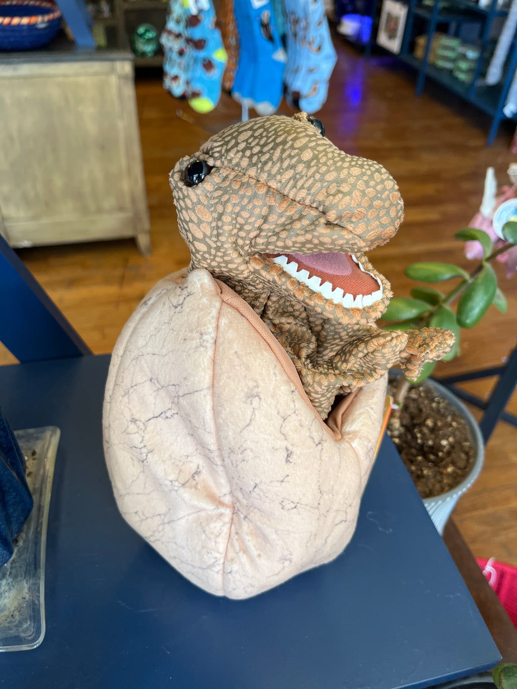 Dinosaur Egg