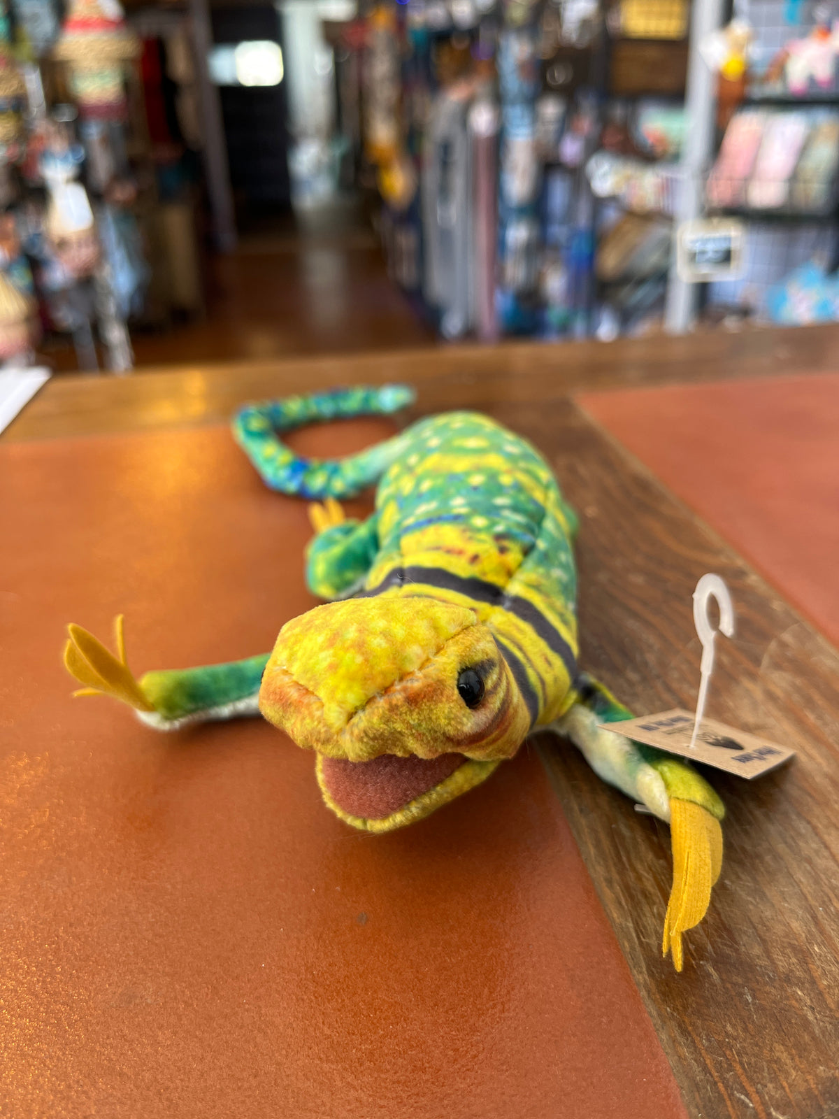 Mini Collared Lizard