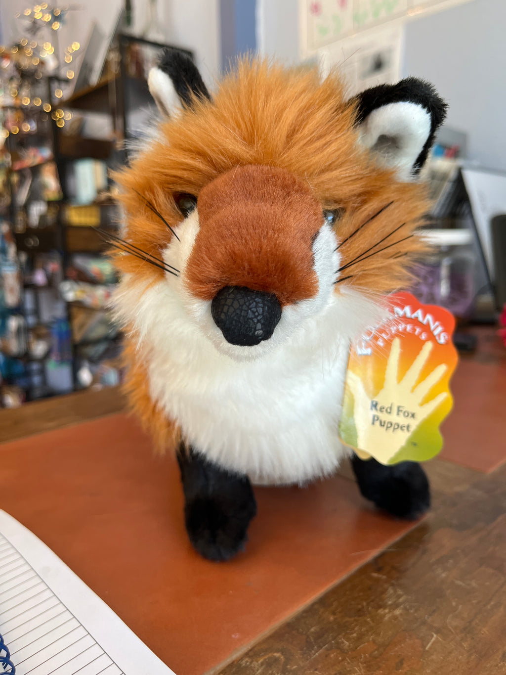 Red Fox