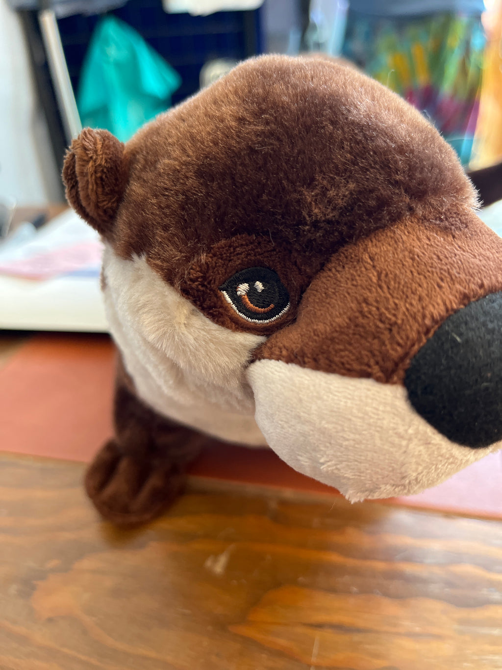 CK ECO River Otter