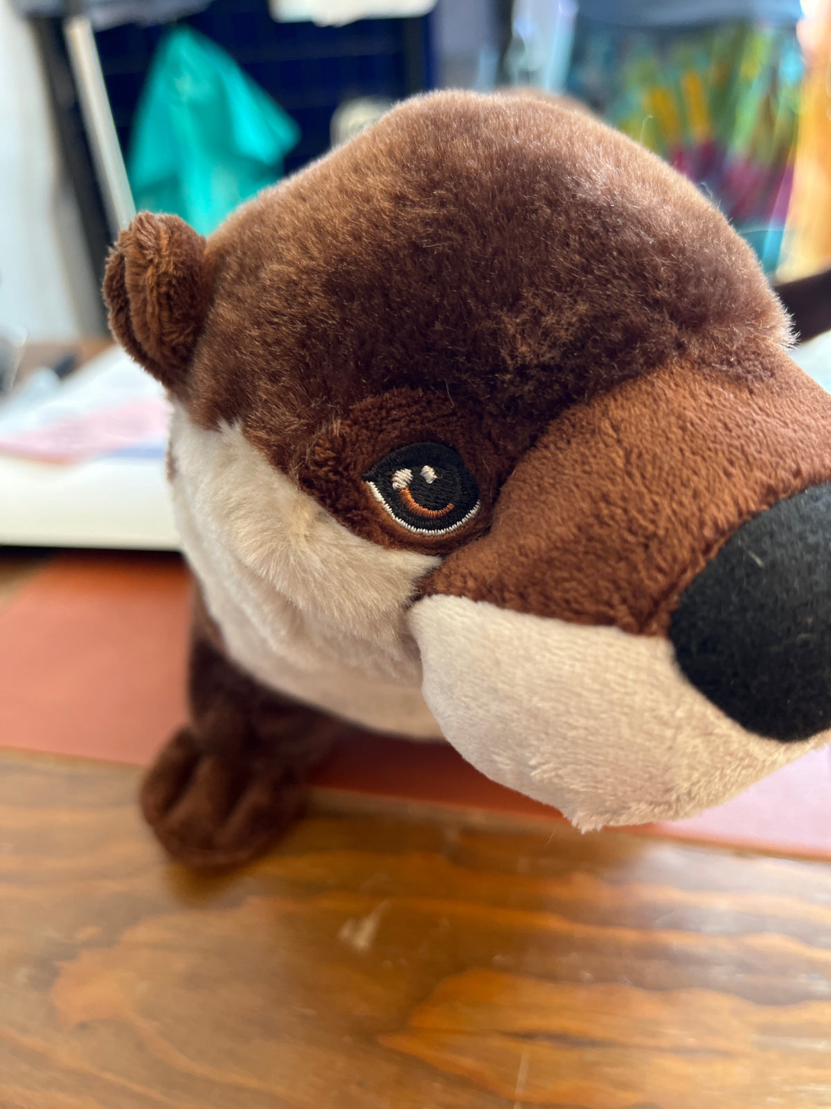 CK ECO River Otter