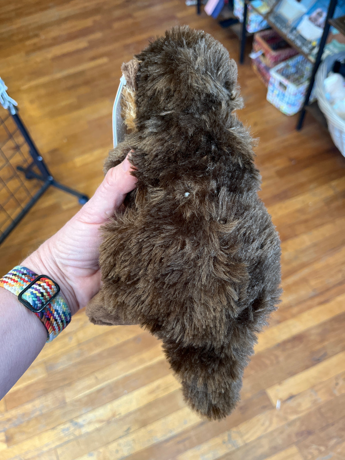 CK Mini Sea Otter