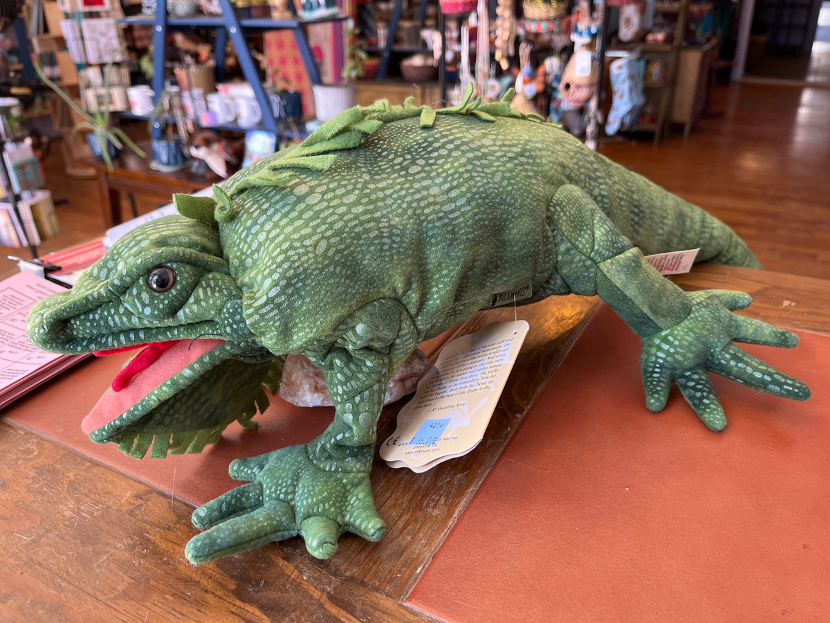 Iguana
