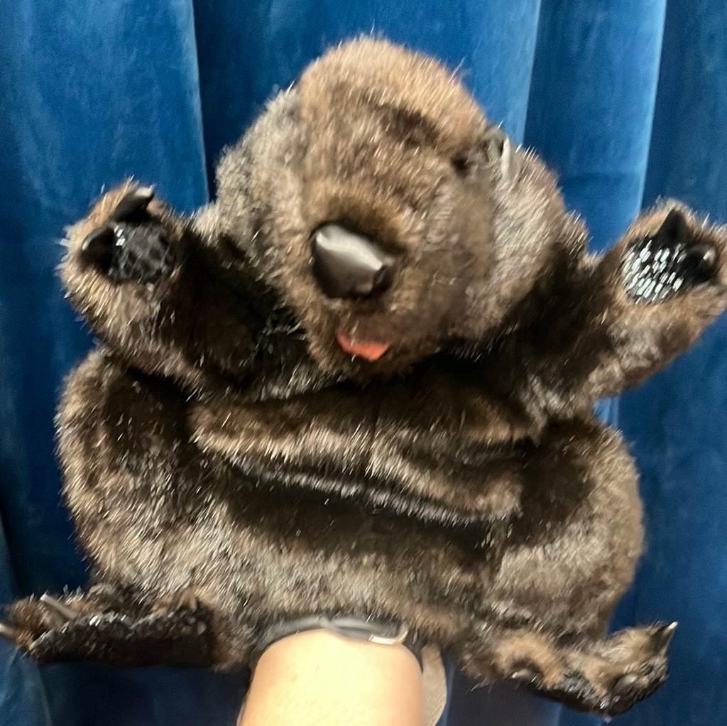 Beaver