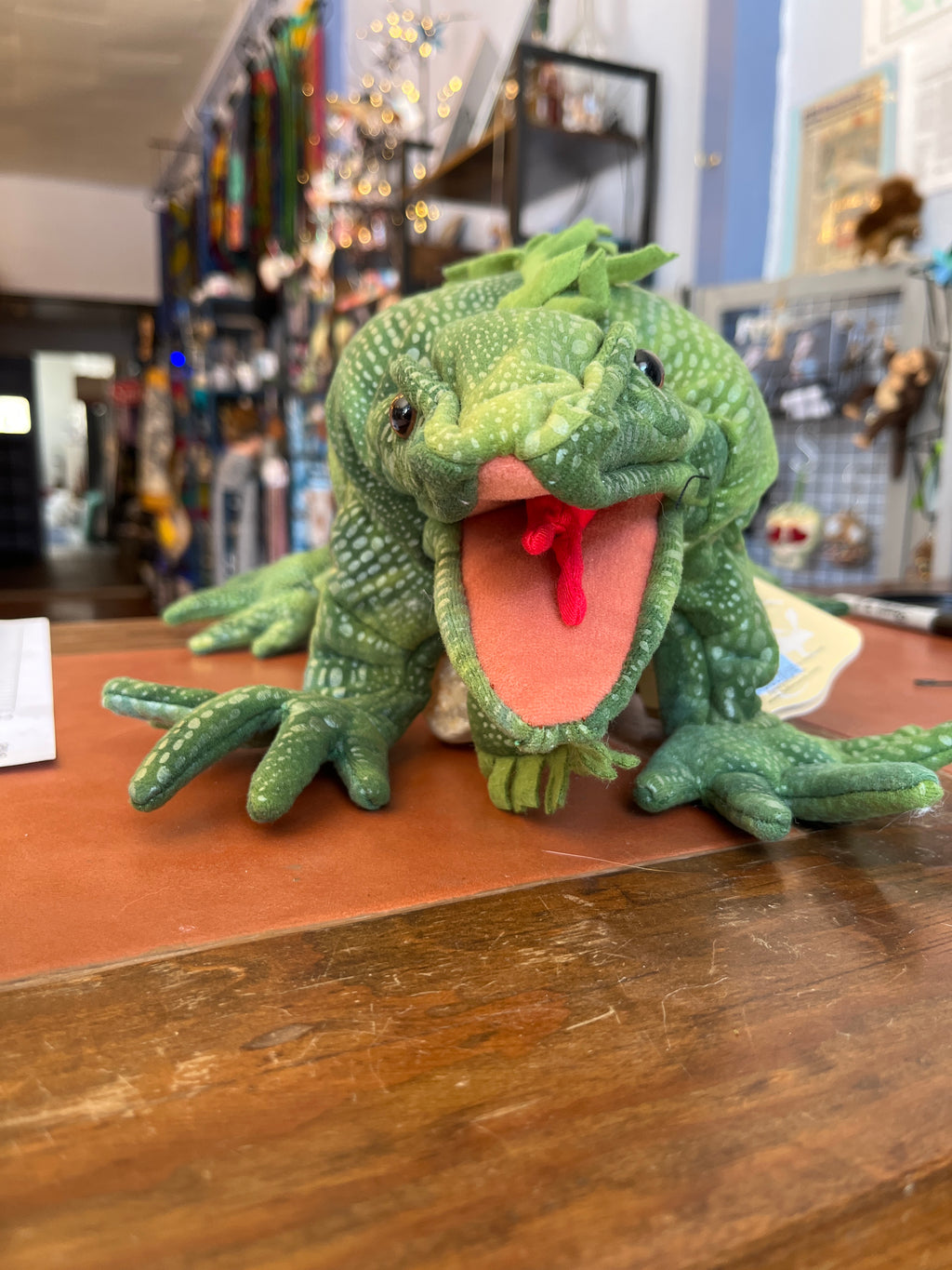 Iguana
