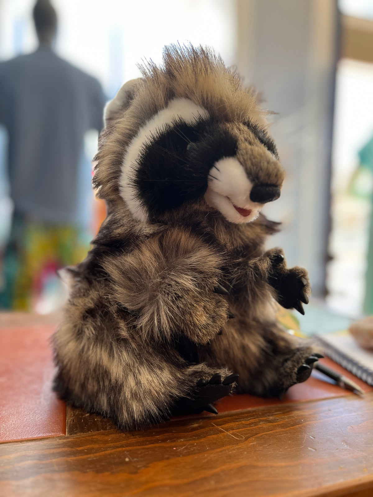Raccoon