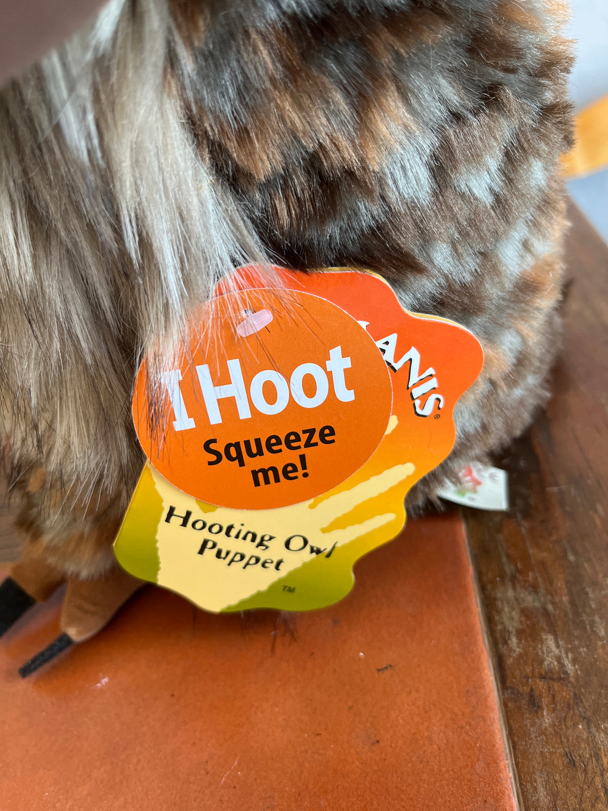 Hooting owl