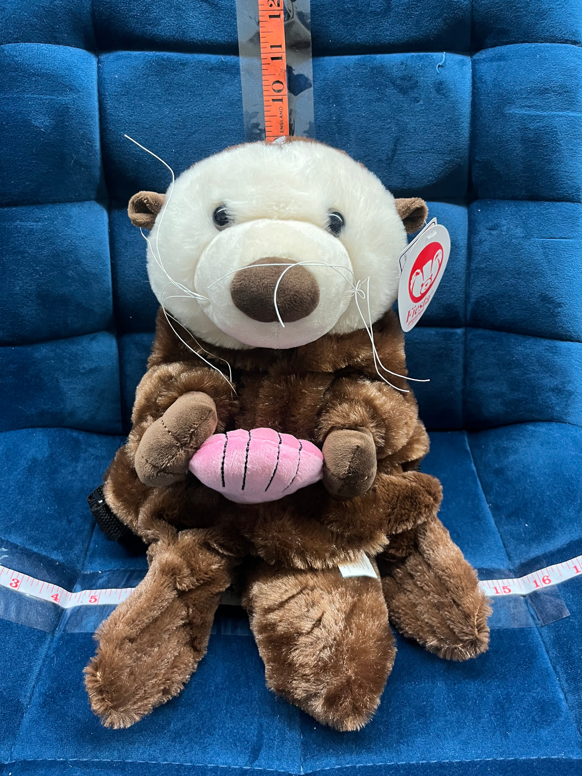 Otter Backpack with Shell