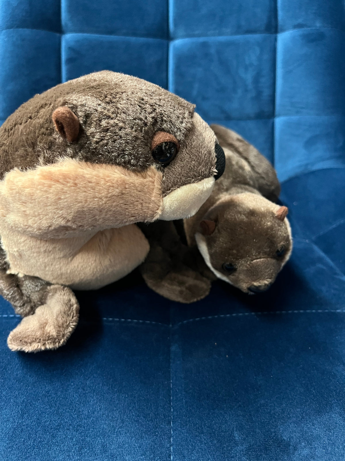 River Otter Mom & Baby
