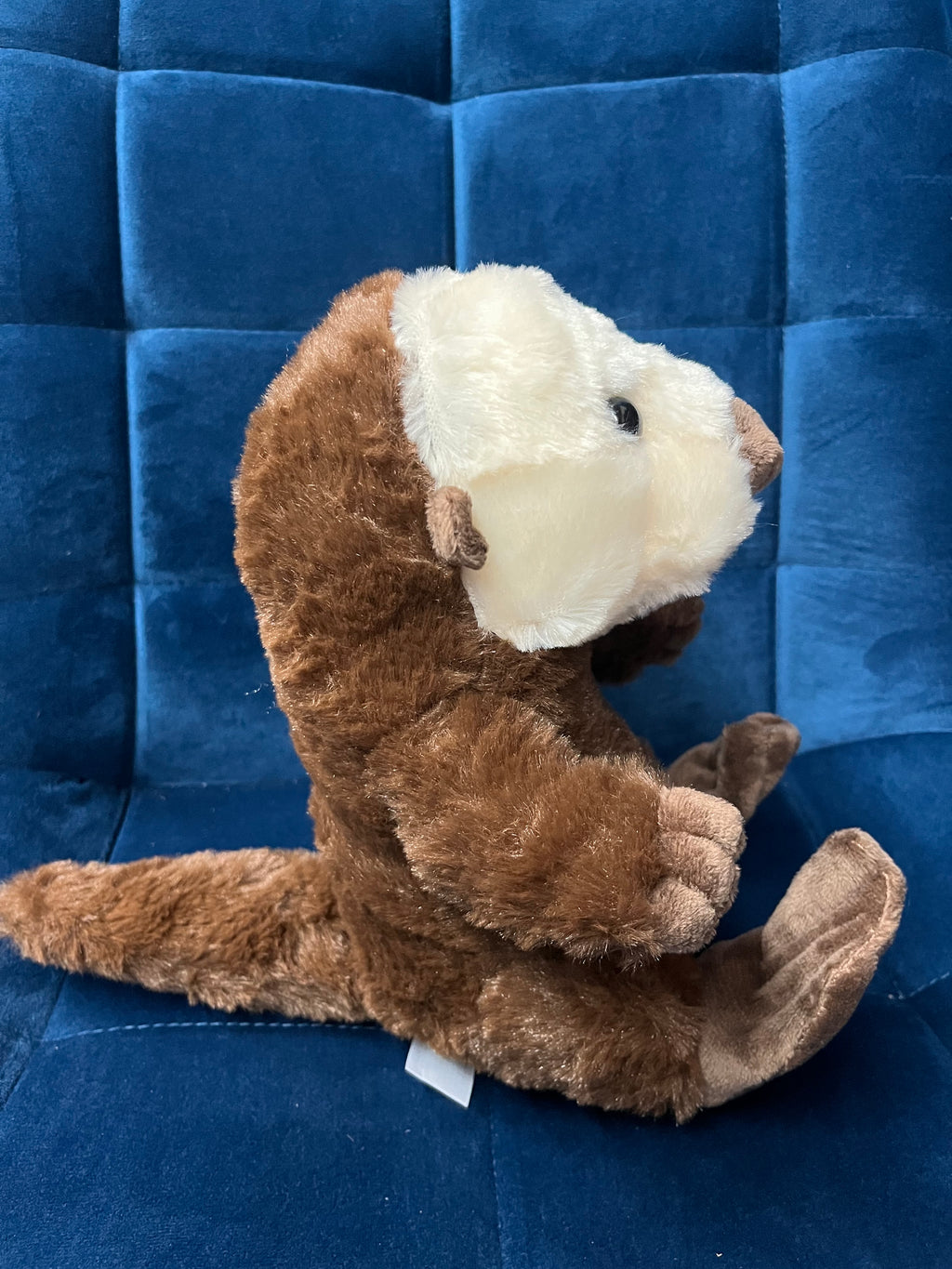 Sitting Sea Otter