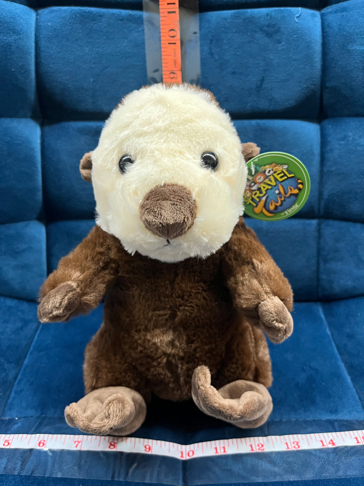 Sitting Sea Otter