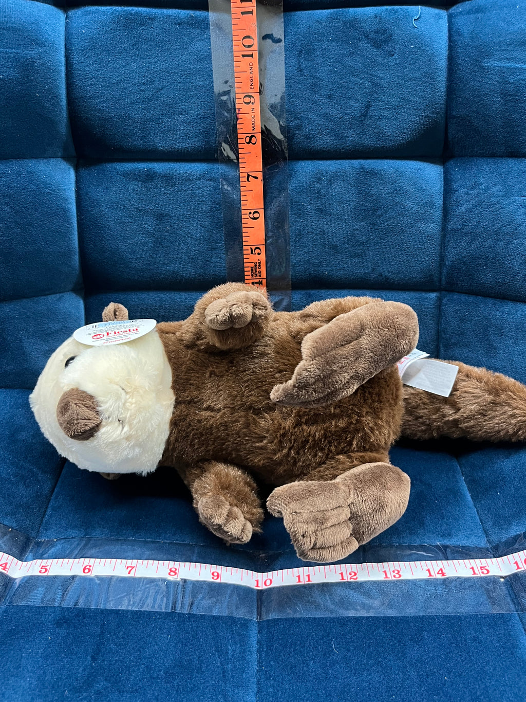 Sitting Sea Otter