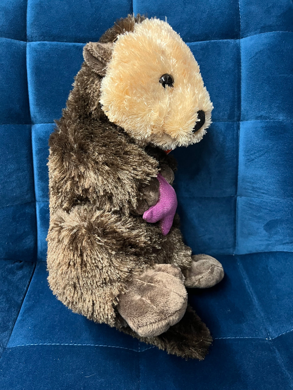 Sea Otter with Purple Star