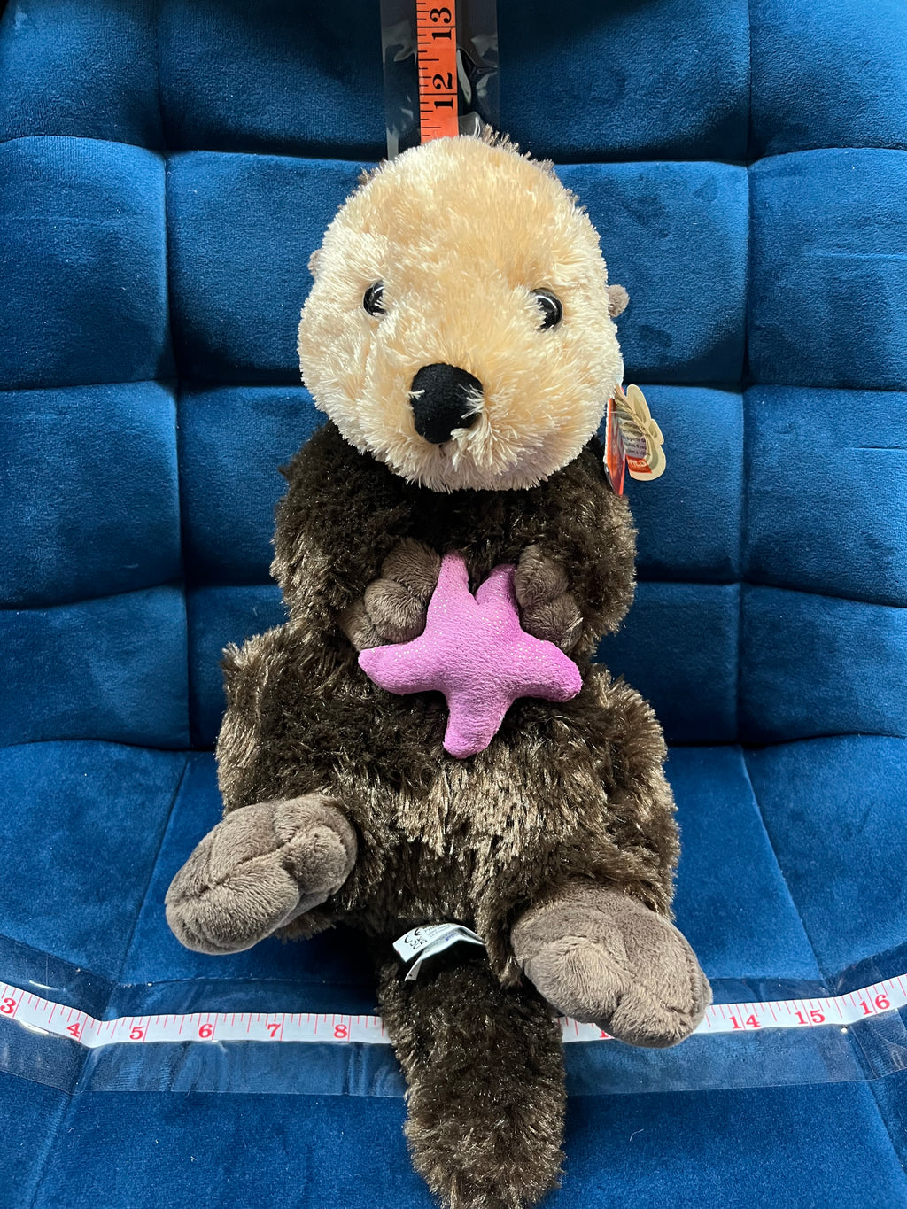 Sea Otter with Purple Star