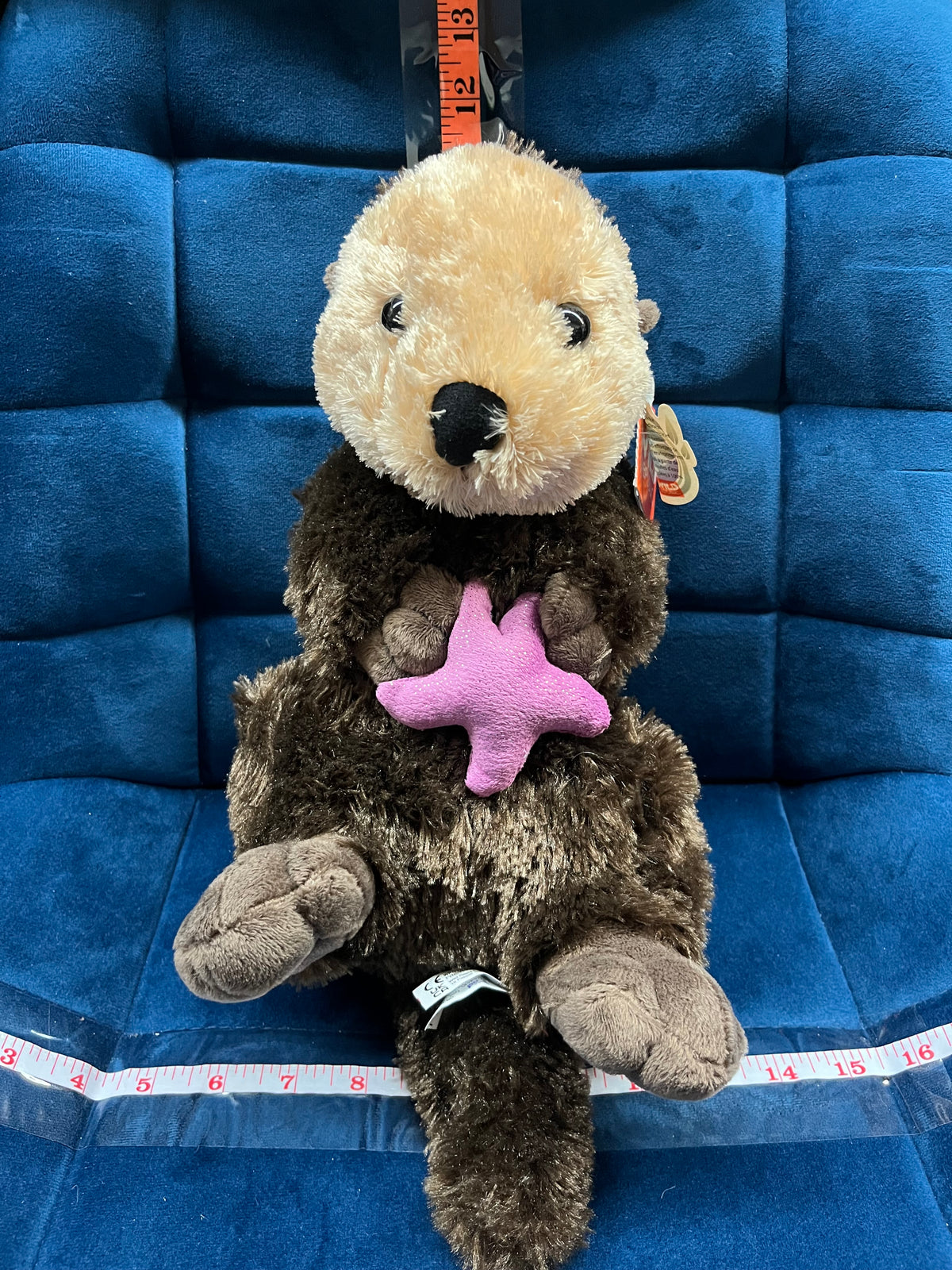 Sea Otter with Purple Star
