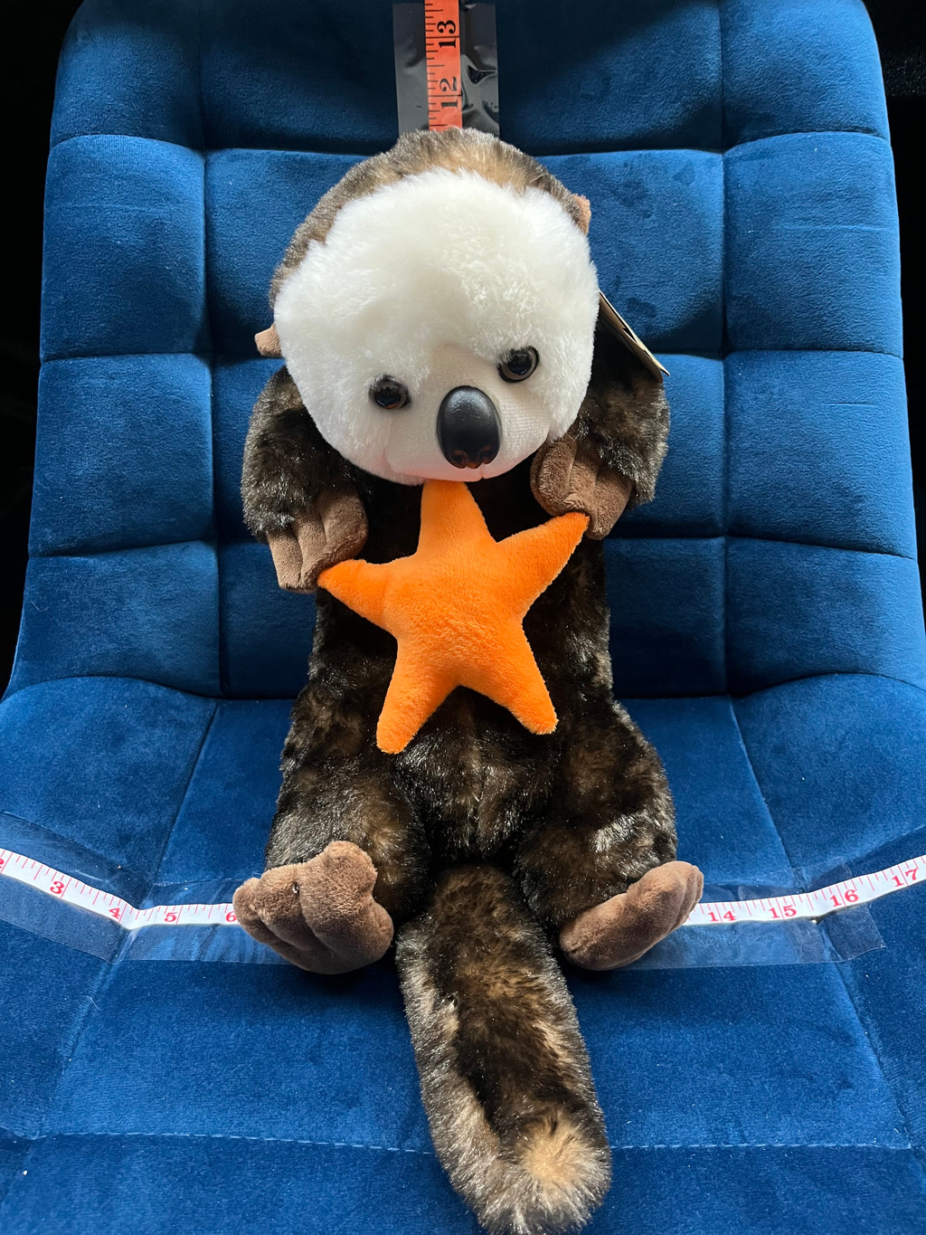 Sea Otter with Star