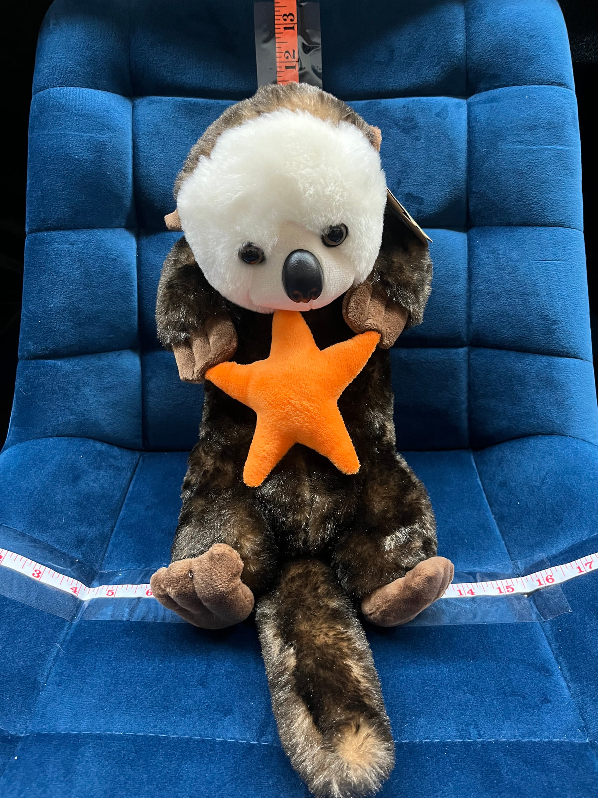 Sea Otter with Star