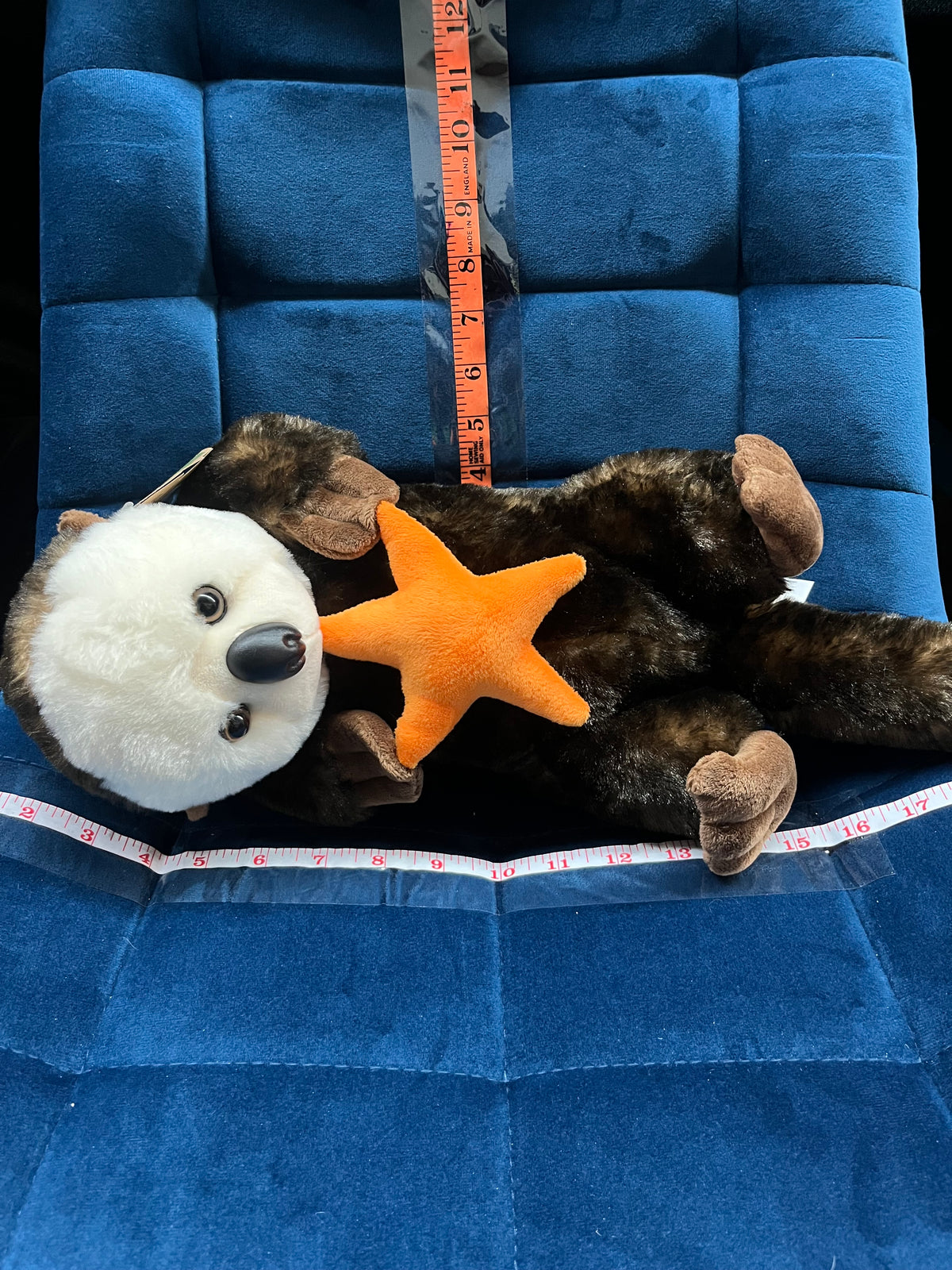 Sea Otter with Star
