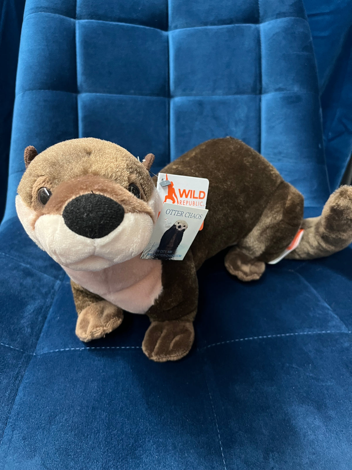 CK River Otter