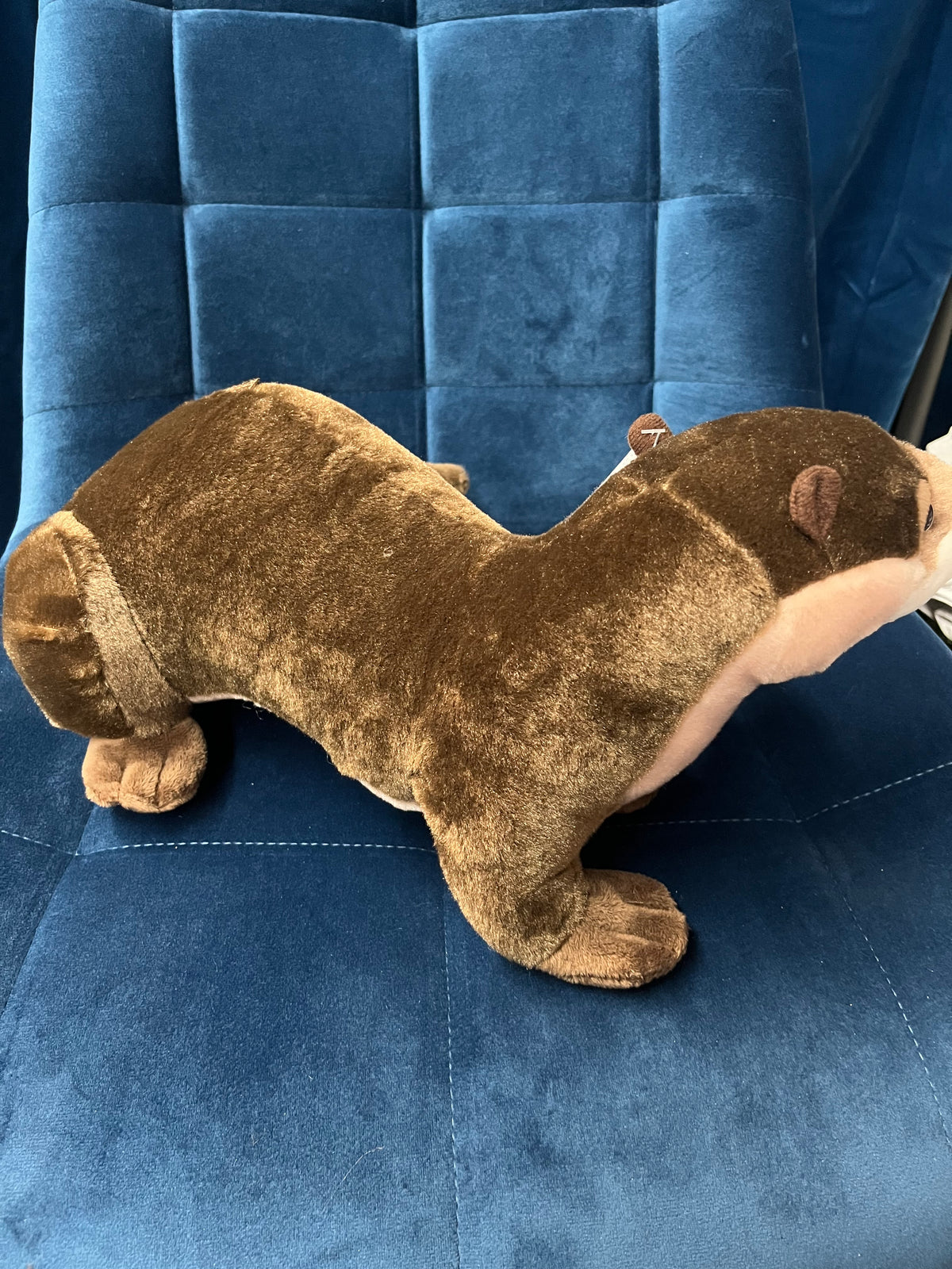CK River Otter
