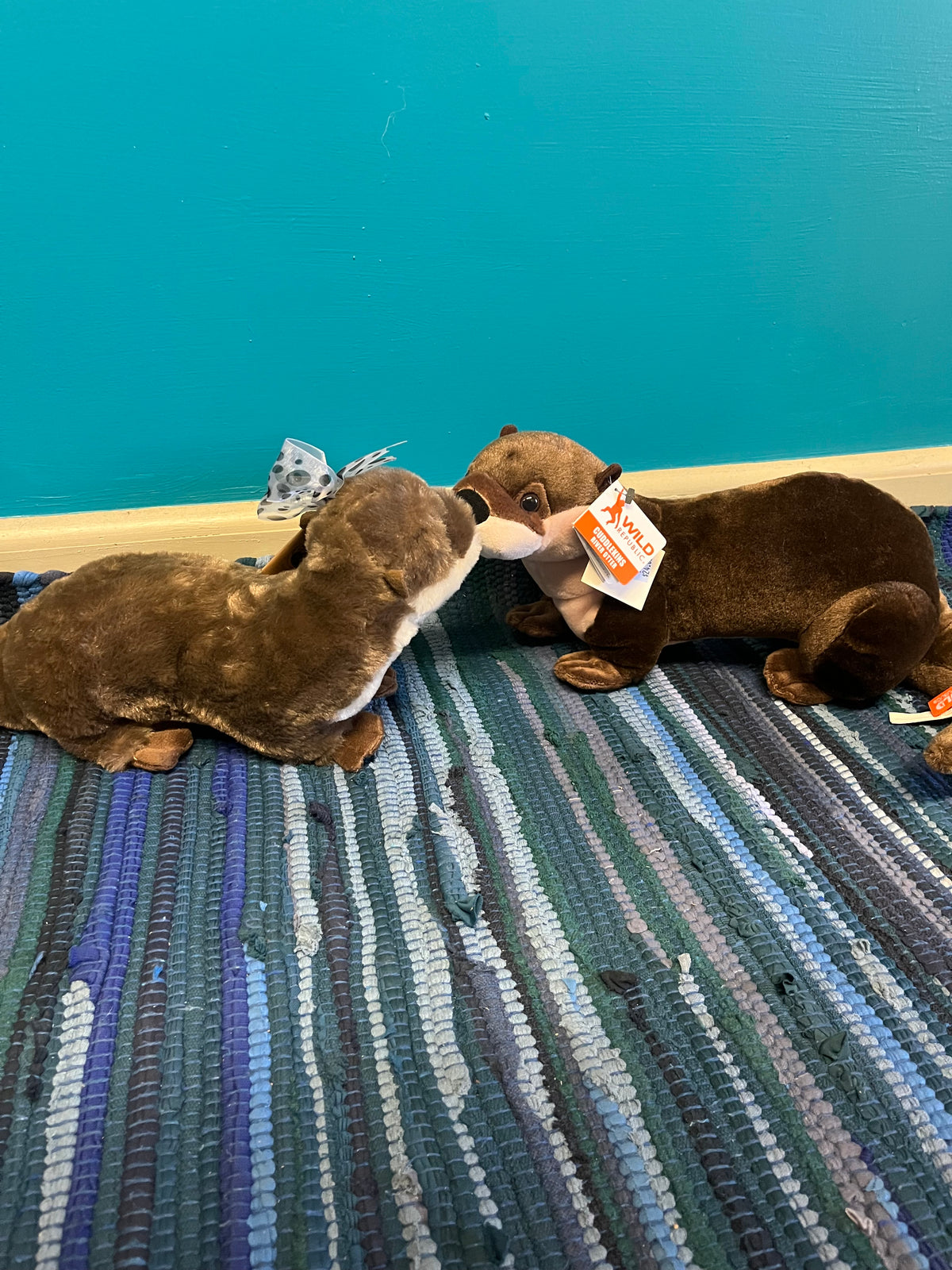 CK River Otter