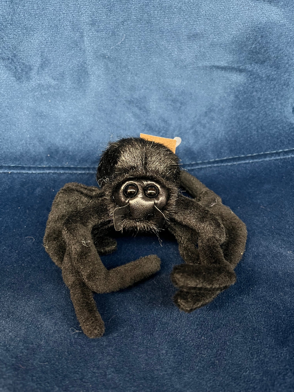 Mini Spider