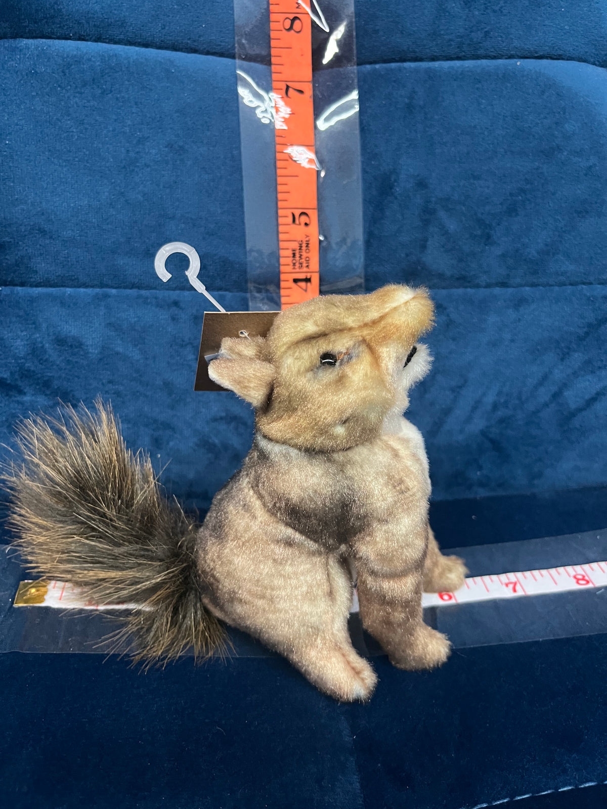 Mini Coyote