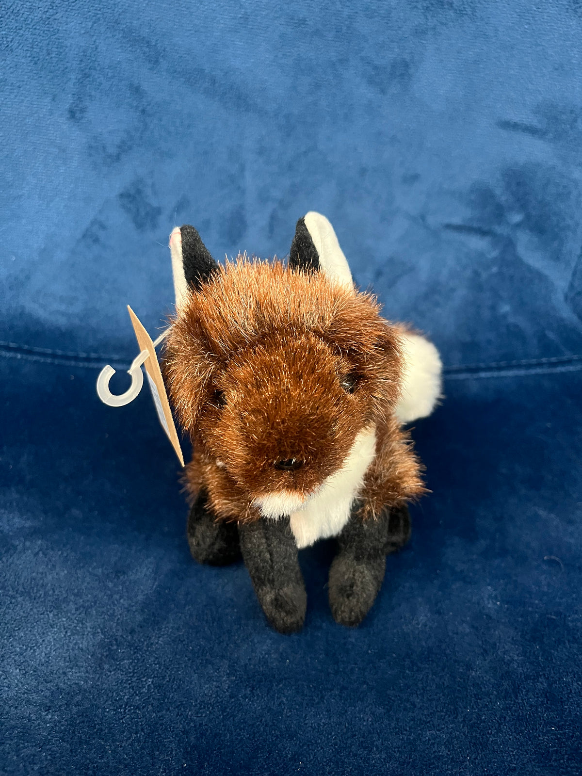 Mini Fox