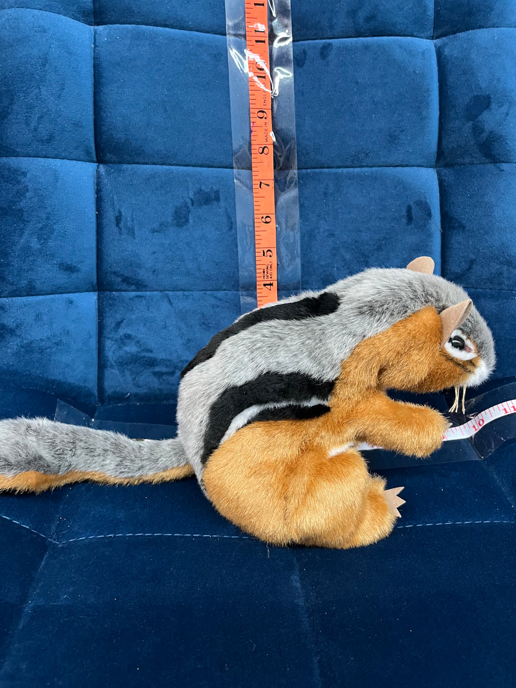 Chipmunk