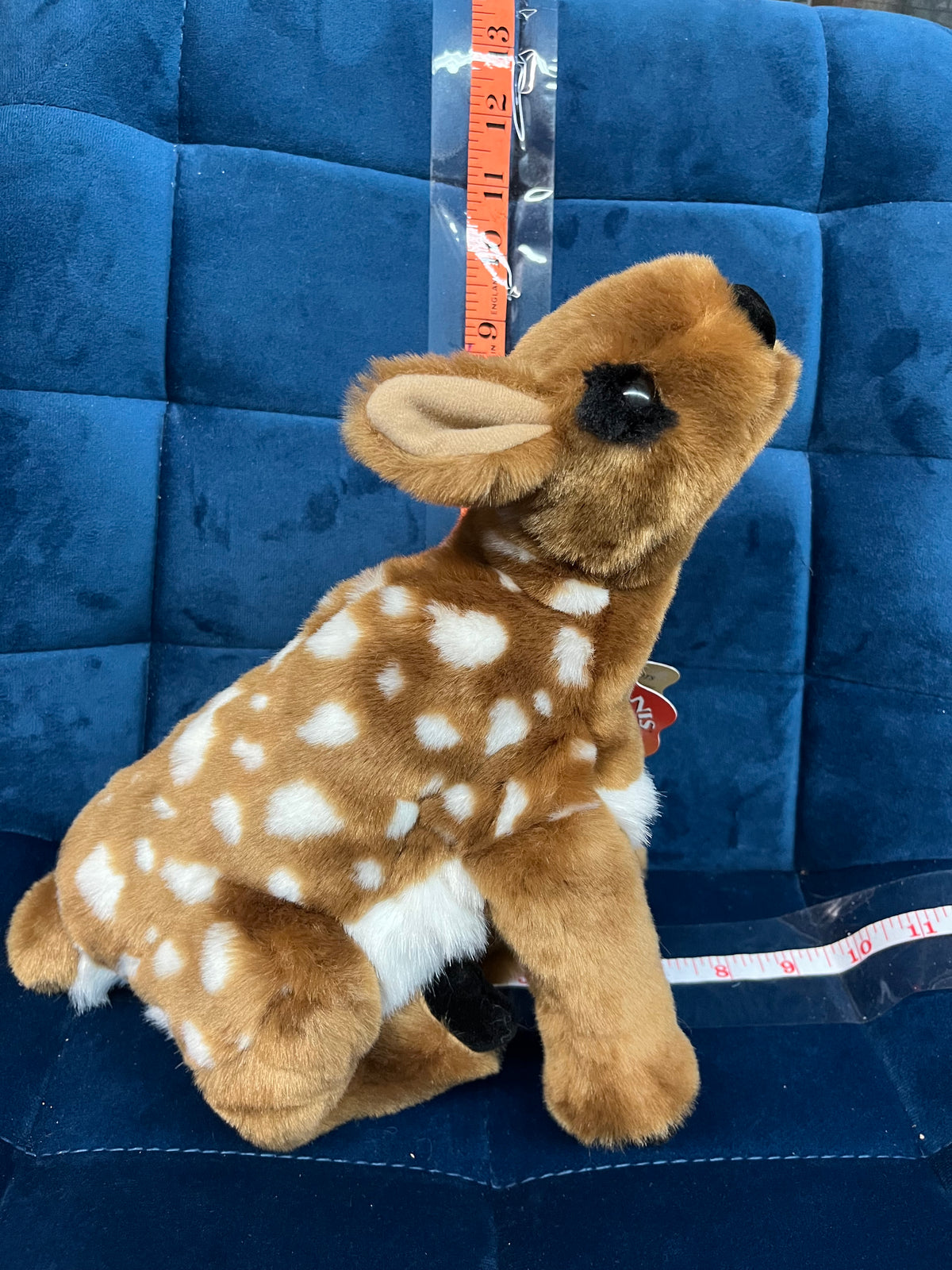 Fawn