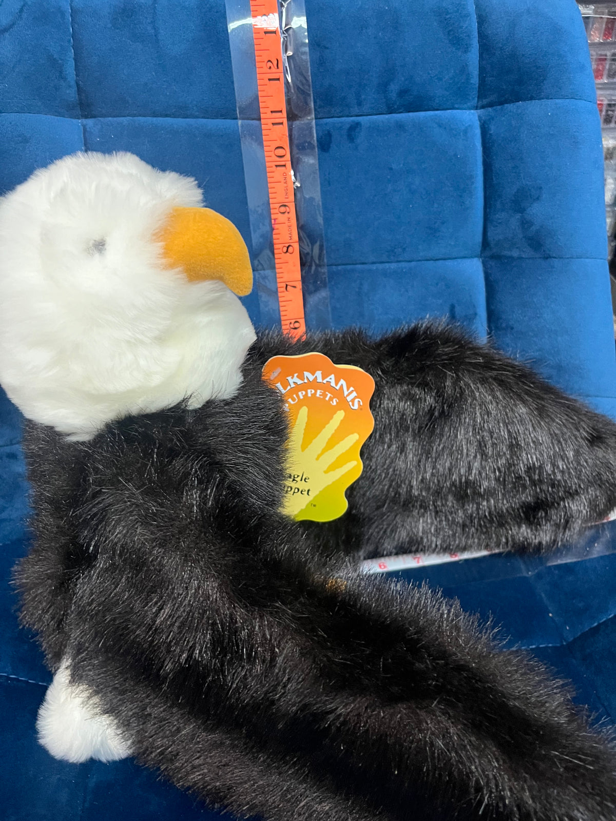 Eagle