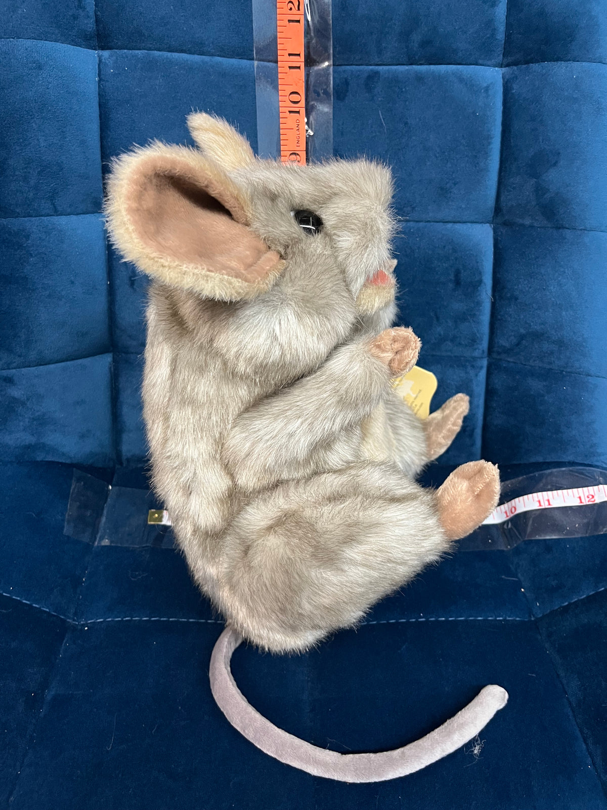 Gray Mouse