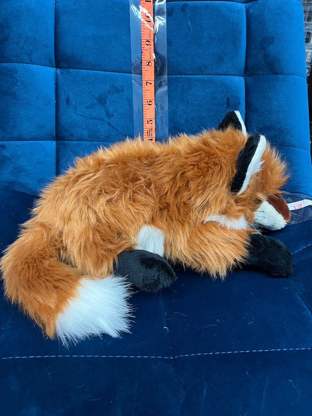 Small Red Fox