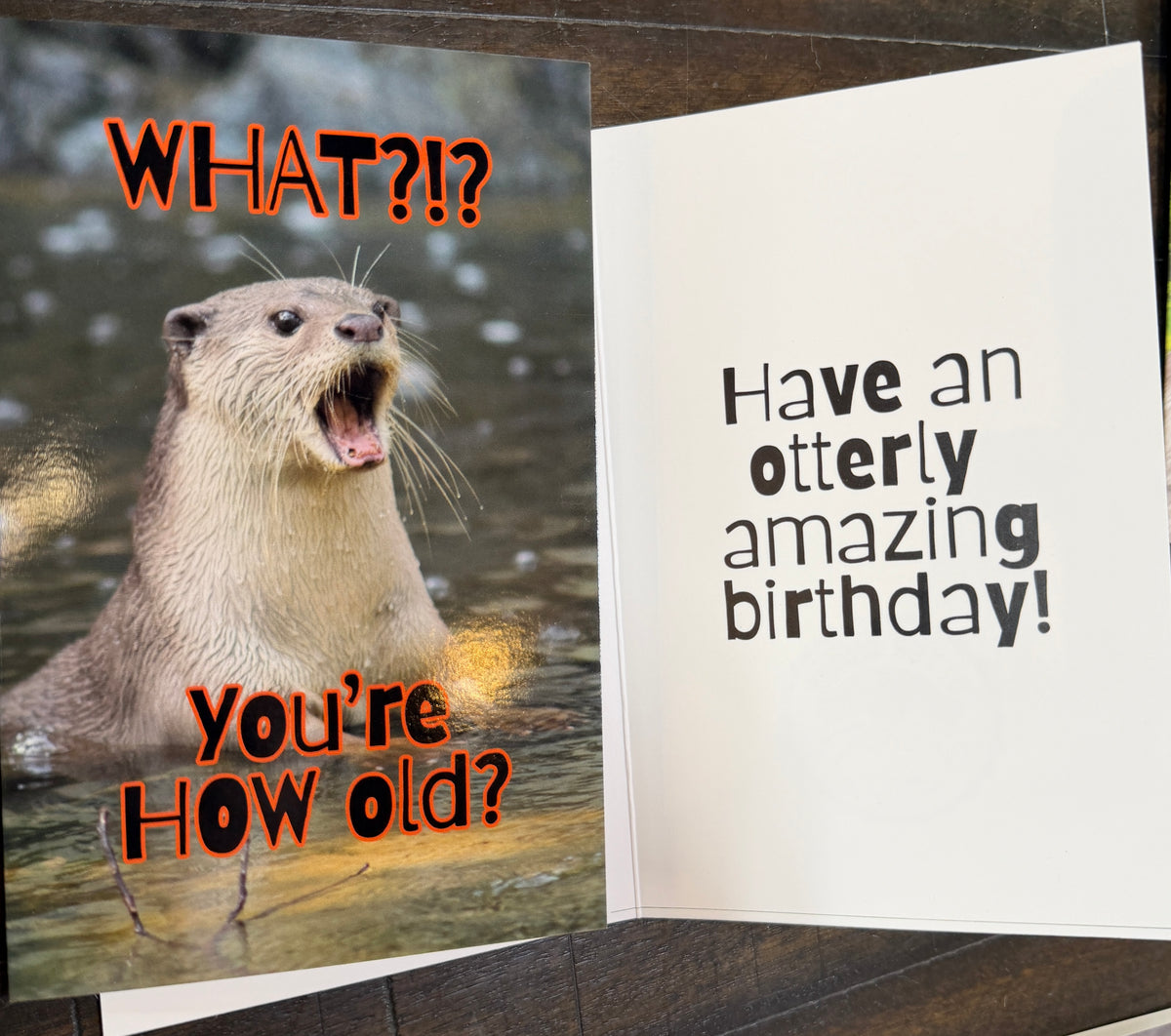 Otter Cards