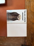 Postcards