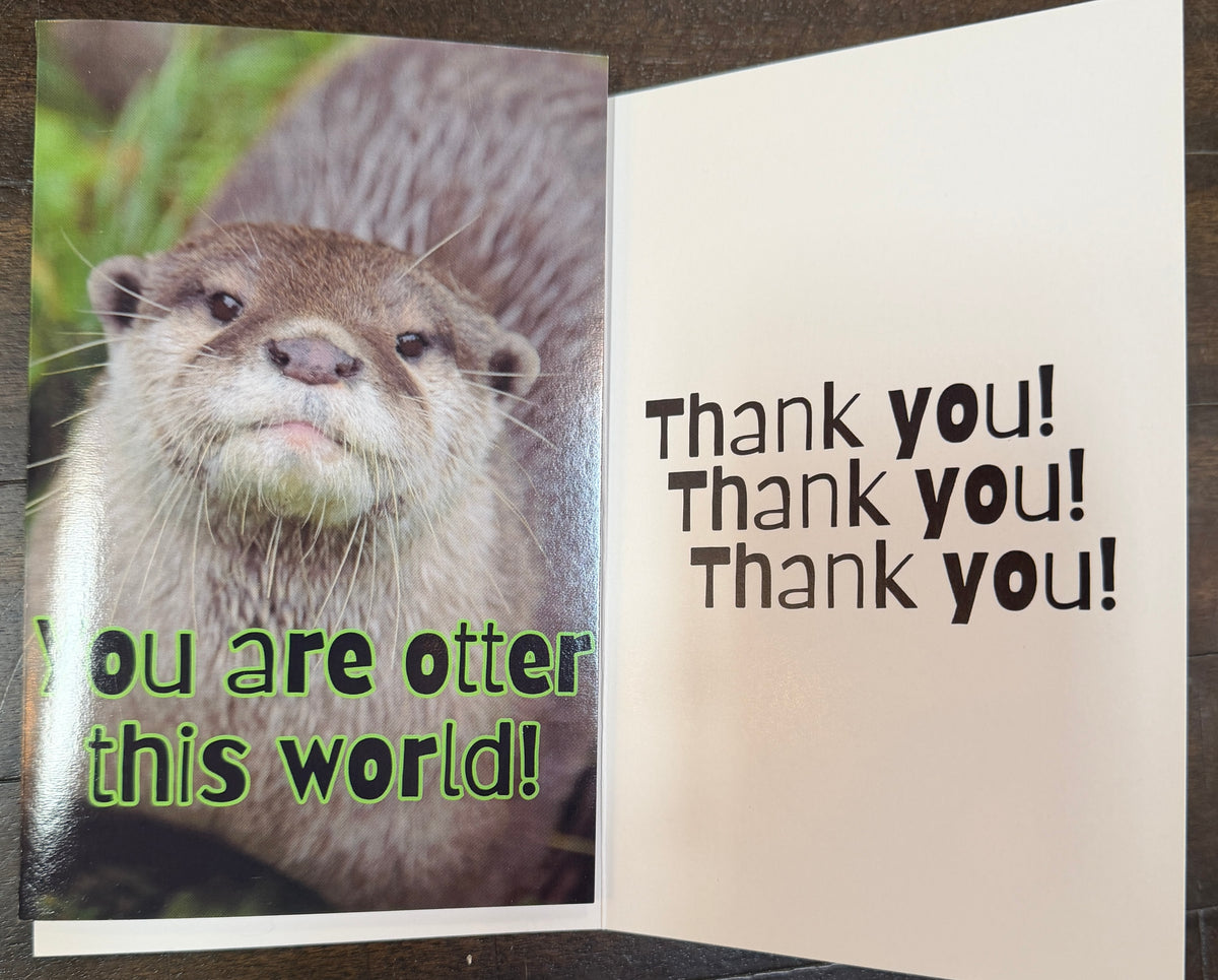 Otter Cards