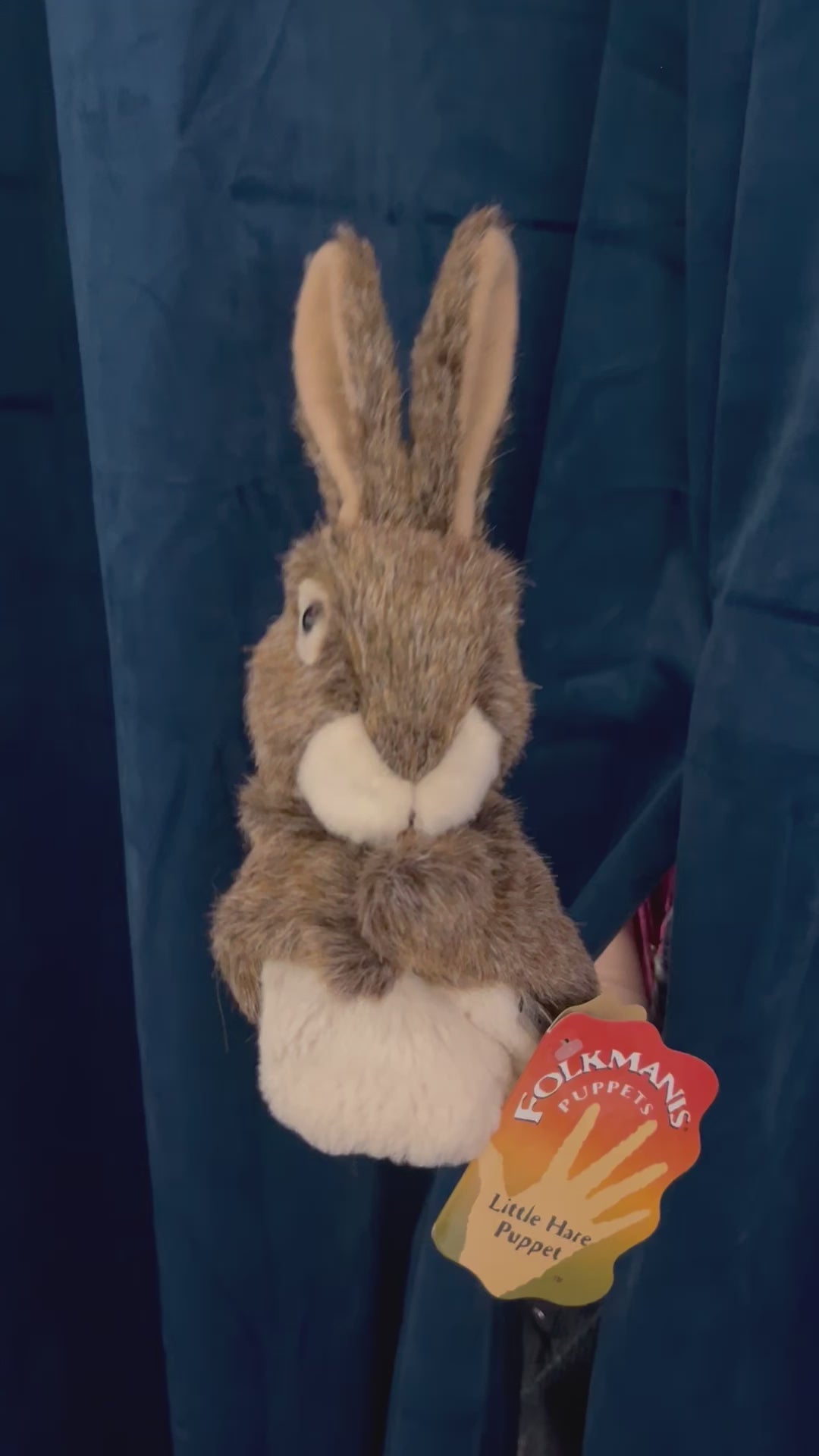 Jack Rabbit