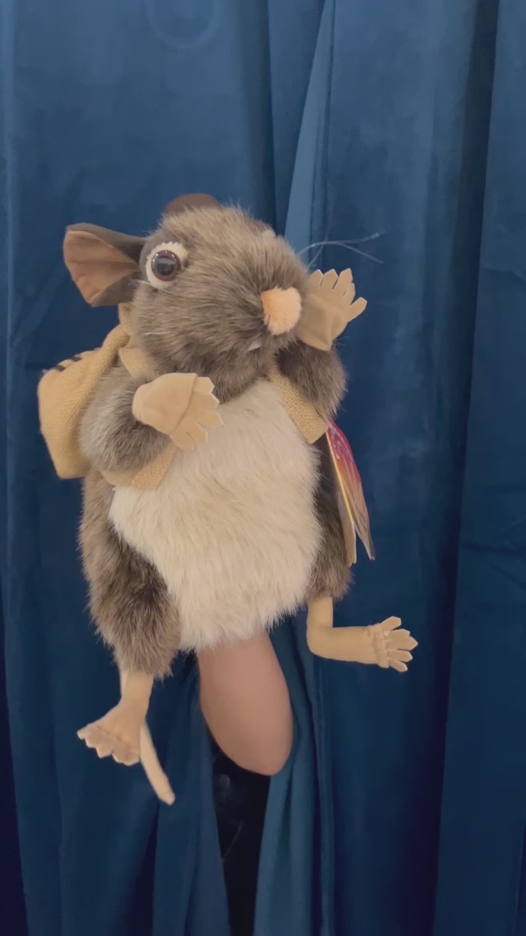 Pack Rat