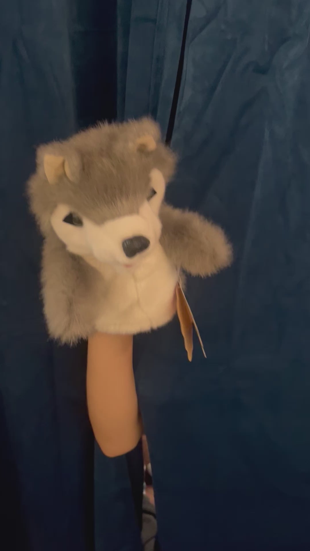 Little Wolf