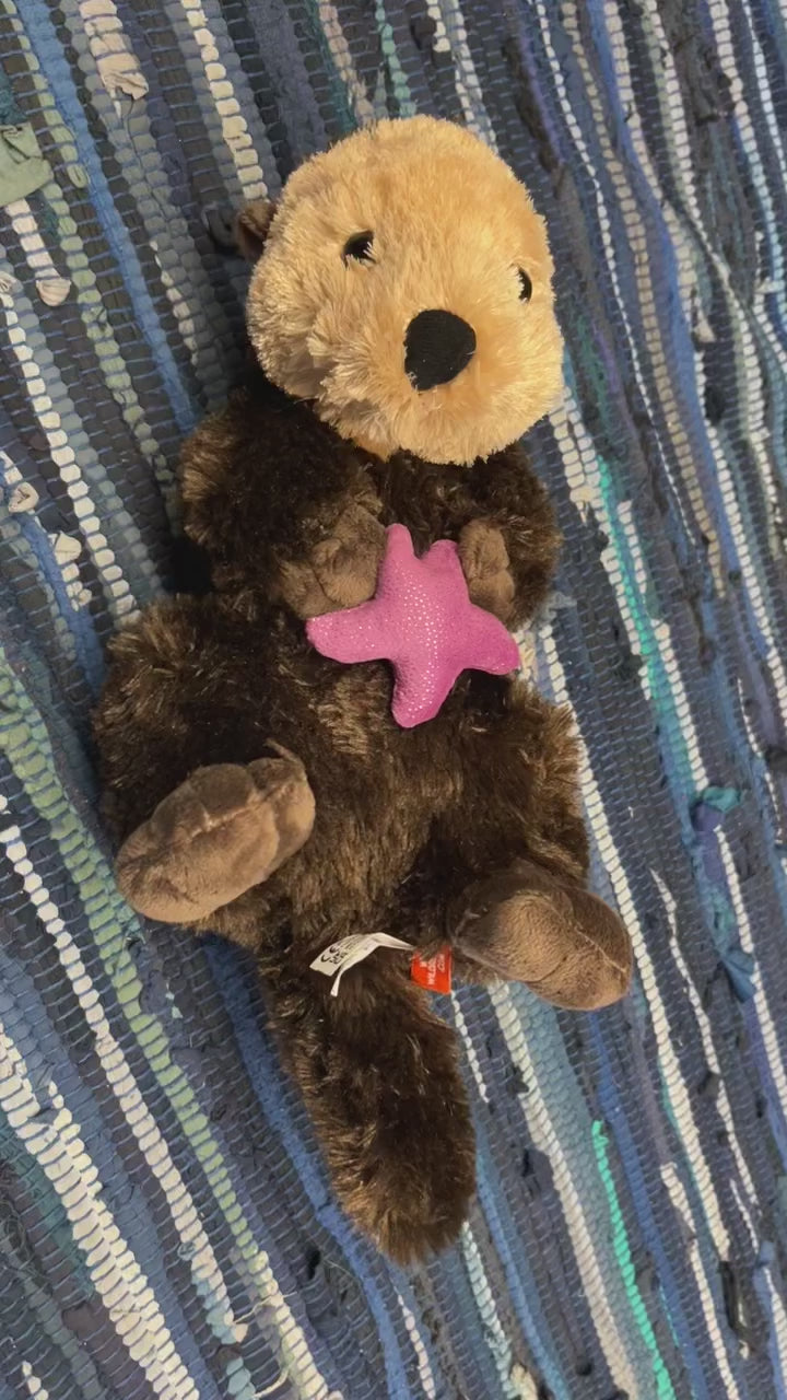 Sea Otter with Purple Star