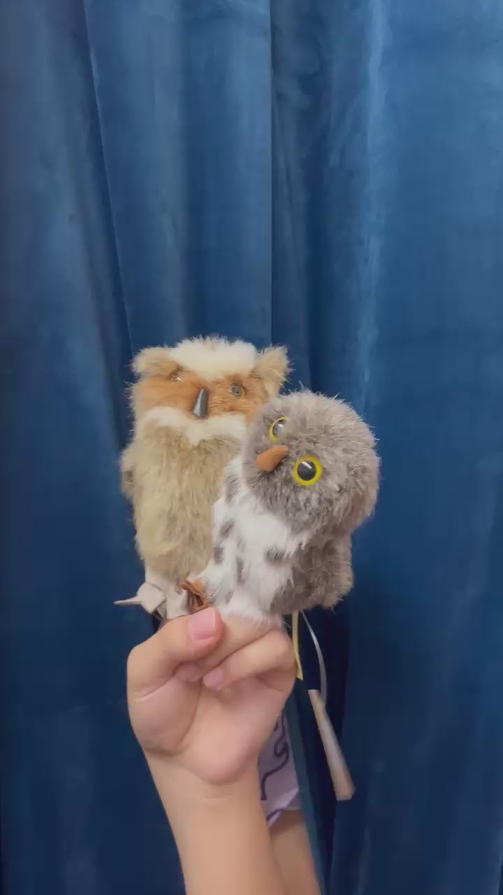 Mini Spotted Owl