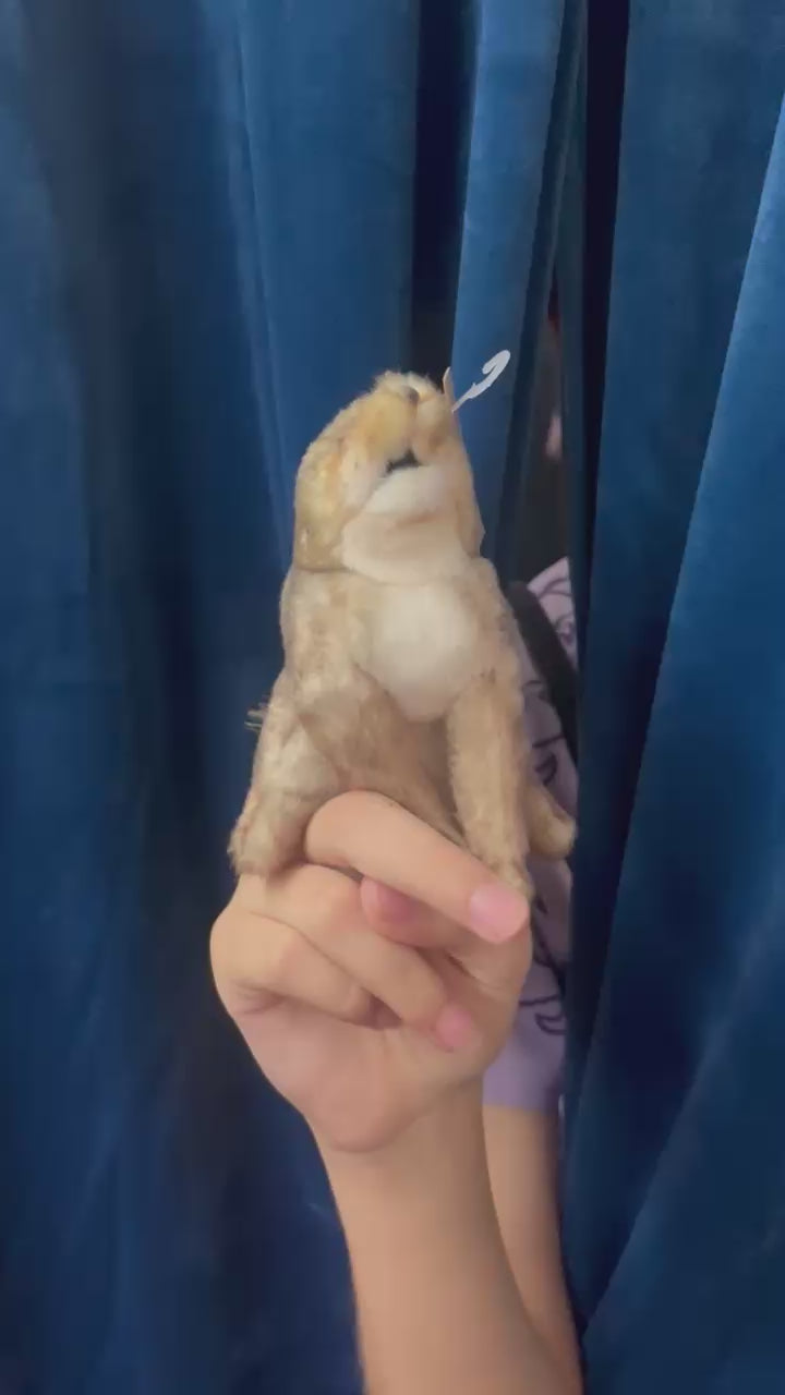 Mini Coyote