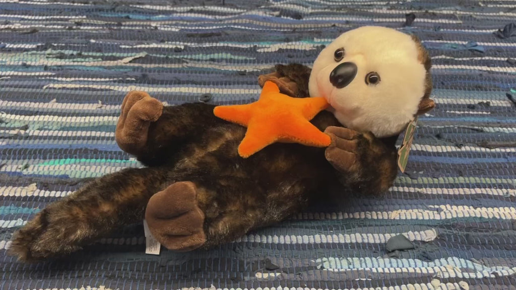 Sea Otter with Star