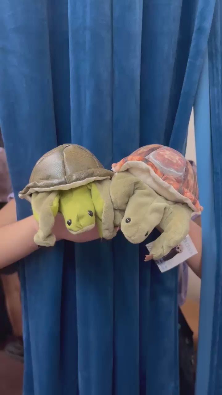 Mini Turtle