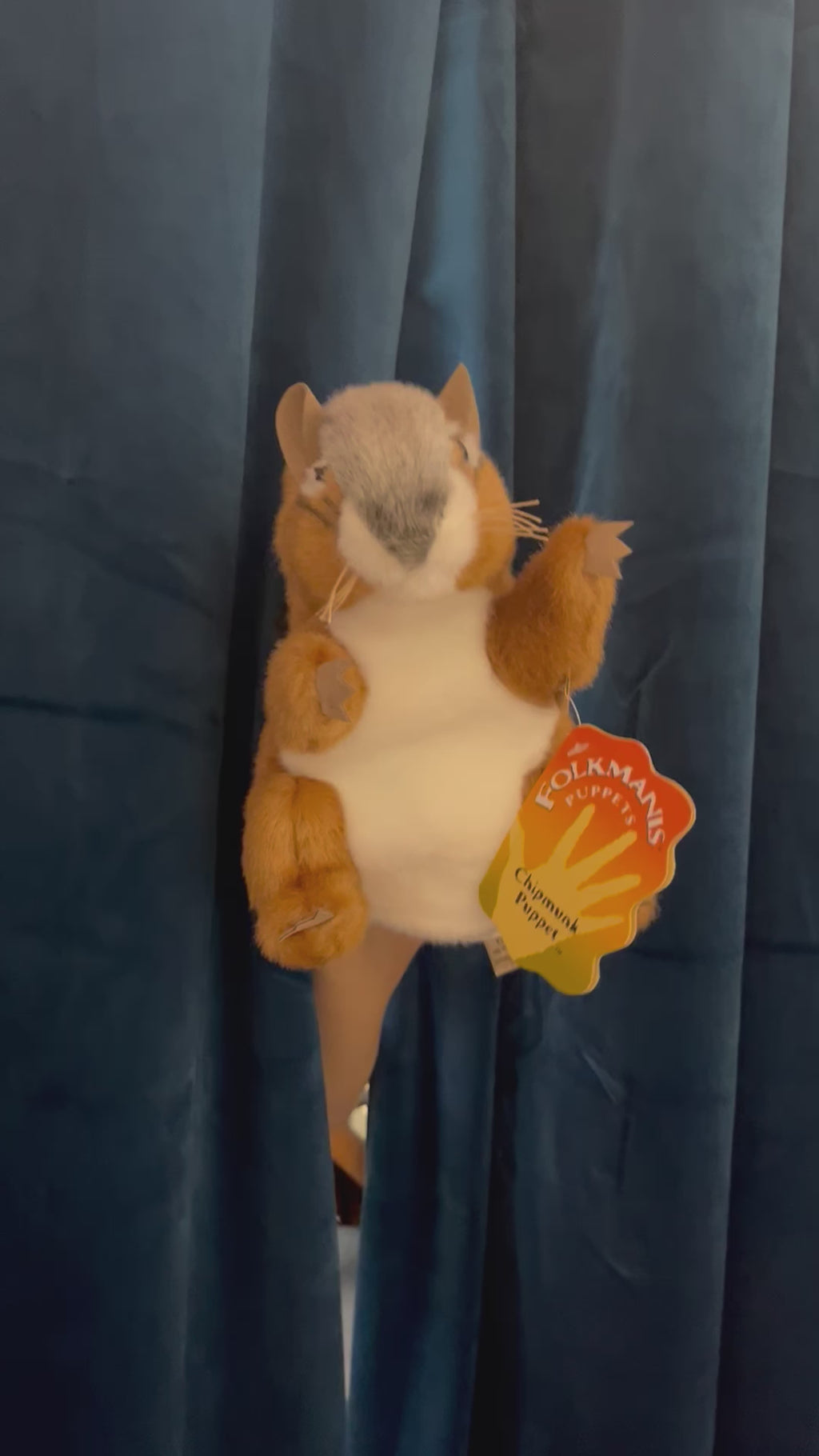 Chipmunk