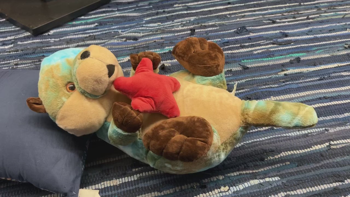 Turquoise Sea Otter