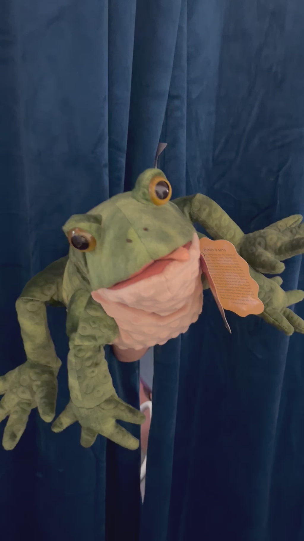Toad
